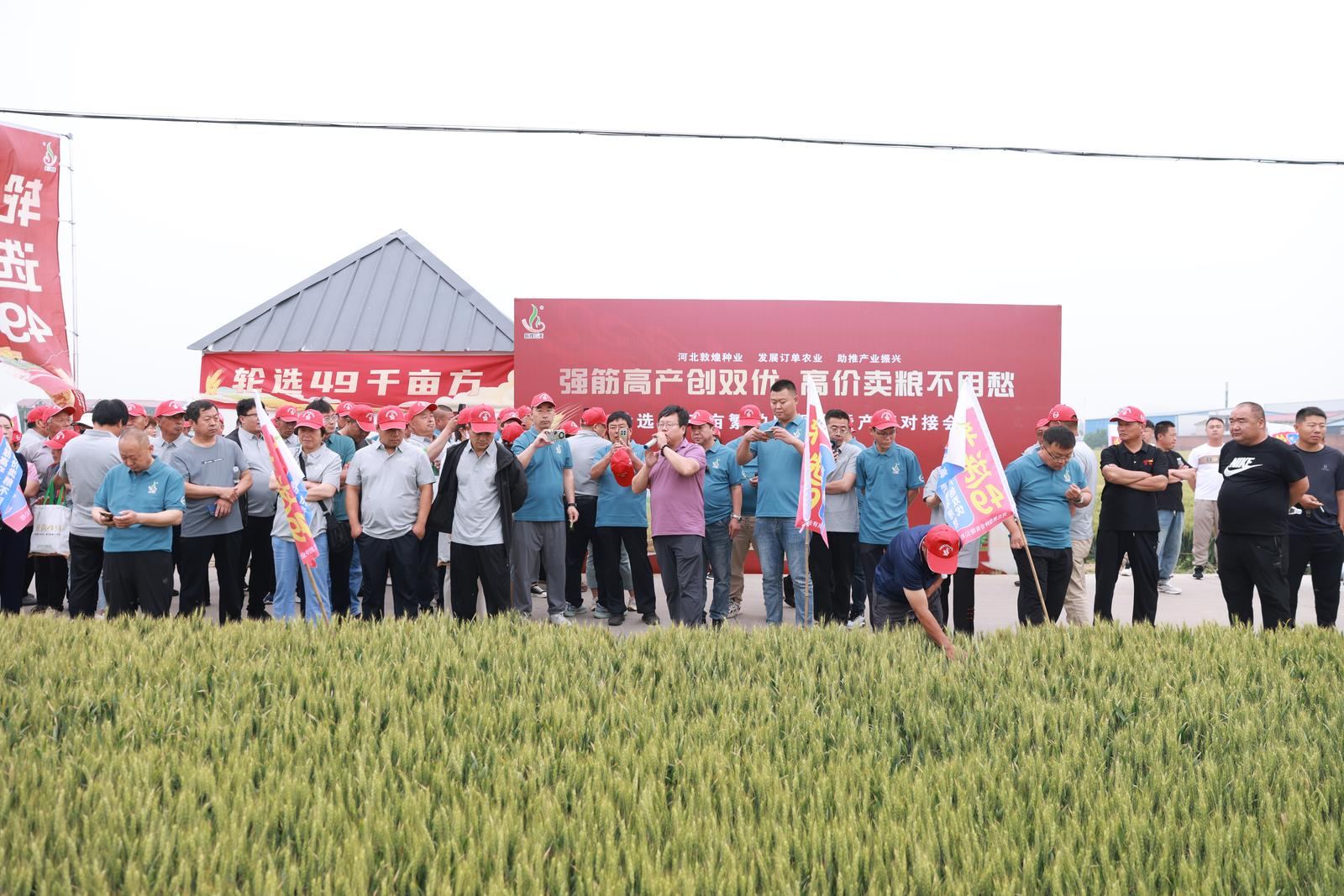 敦煌种业经销商大会现场