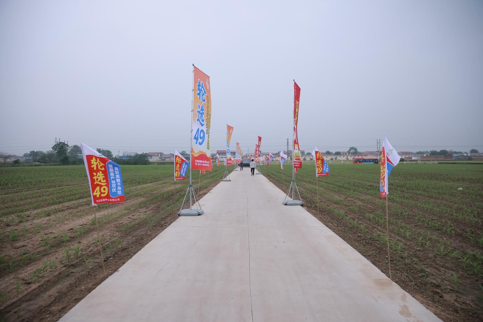 敦煌种业2026经销商大会